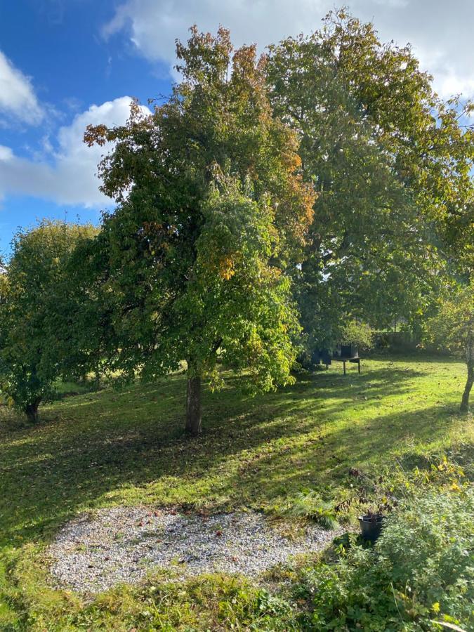 Les Pampas Apartment Montbronn Bagian luar foto
